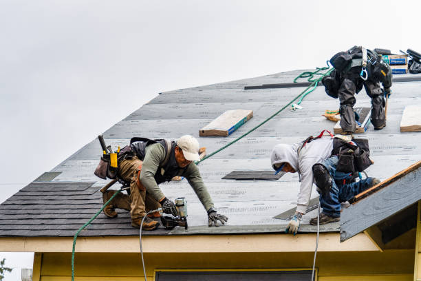 Professional Storm Damage Roof Repair technician working in Tennent, NJ